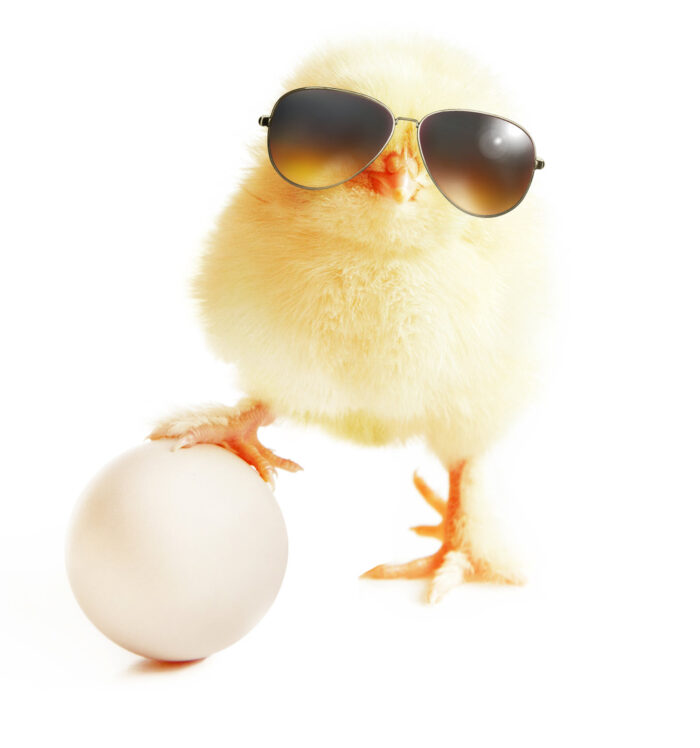 OsternPollito | Blanco y Negro Tango
